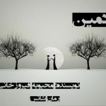 دانلود رمان ادمین pdf از محبوبه فیروزخانی با لینک مستقیم