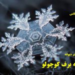 دانلود رمان دونه برف کوچولو pdf از دکتر دیوانه با لینک مستقیم