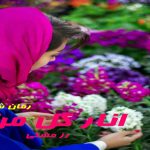 دانلود رمان انار گل من pdf از رز مشکی با لینک مستقیم