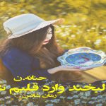 دانلود رمان با لبخند وارد قلبم شو pdf از حنانه.ن با لینک مستقیم