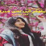 دانلود رمان نیلوفر آبی نمی میرد pdf از ویدا منصوری با لینک مستقیم